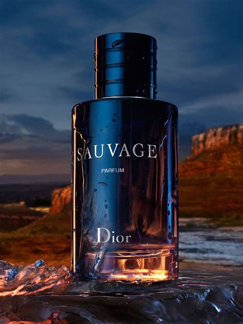 best Dior sauvage